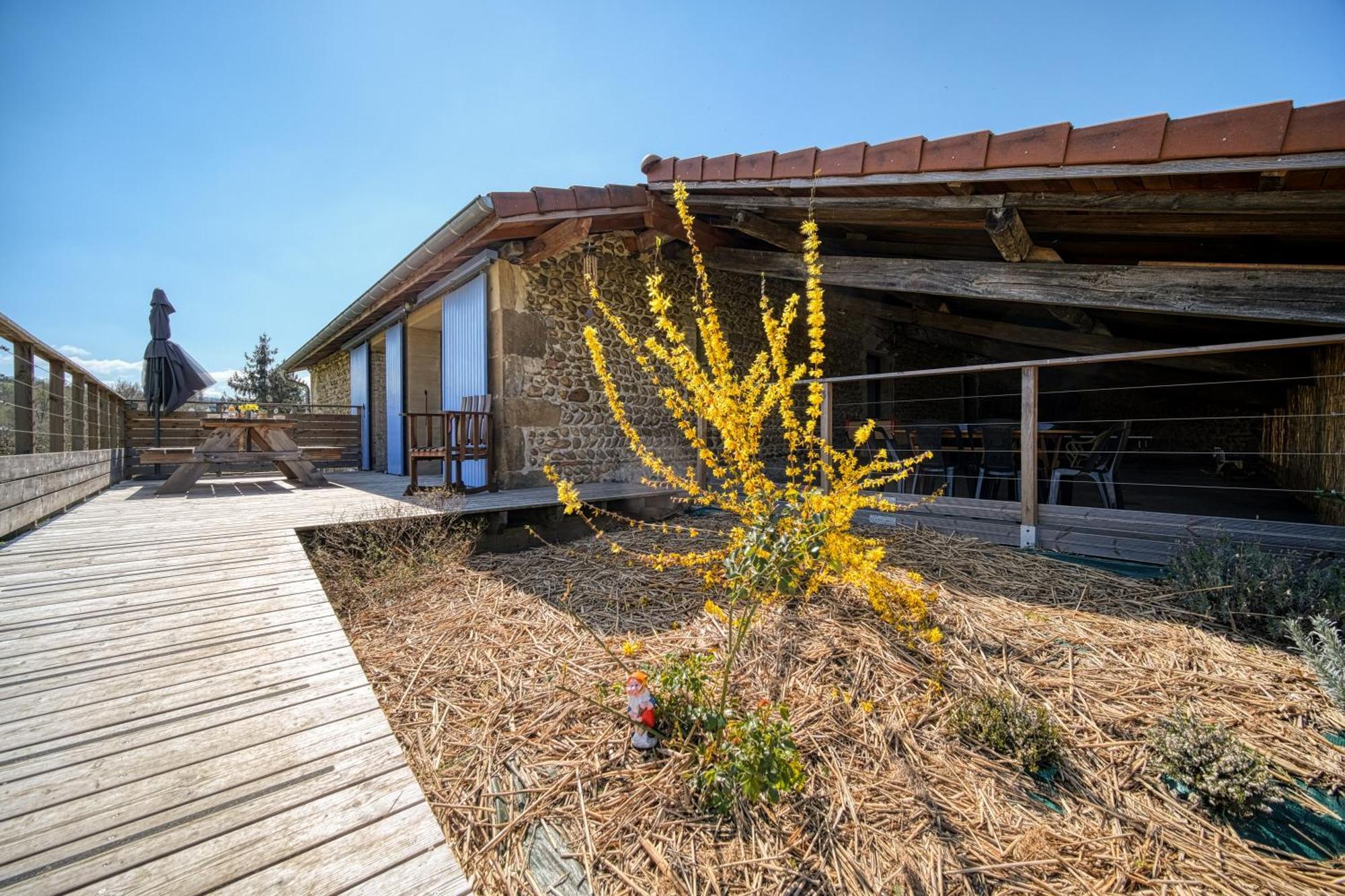 Maison Michonieres - Gite 3 Etoiles - 8 Personnes Miribel  Extérieur photo