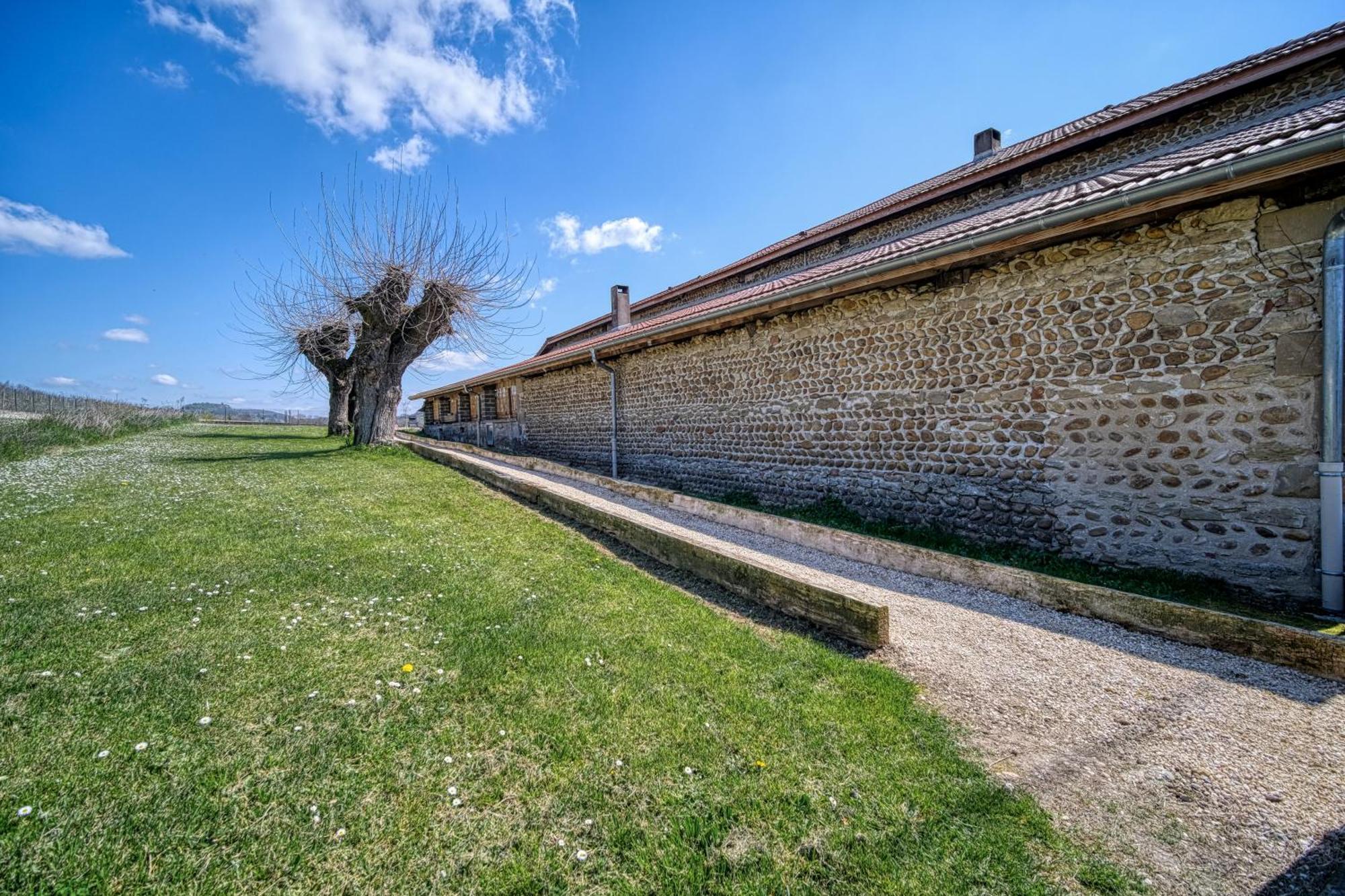 Maison Michonieres - Gite 3 Etoiles - 8 Personnes Miribel  Extérieur photo